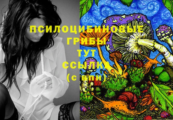 гашик Елизово