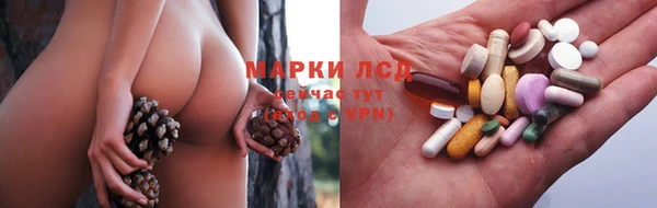 гашик Елизово
