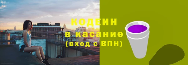 гашик Елизово