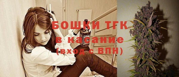 Альфа ПВП Ельня