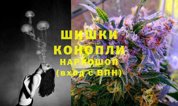 Альфа ПВП Ельня
