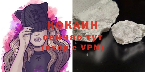 гашик Елизово