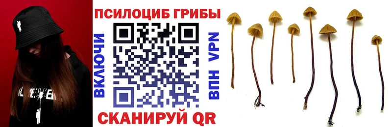 Галлюциногенные грибы ЛСД  Купить закладки  Ленск 